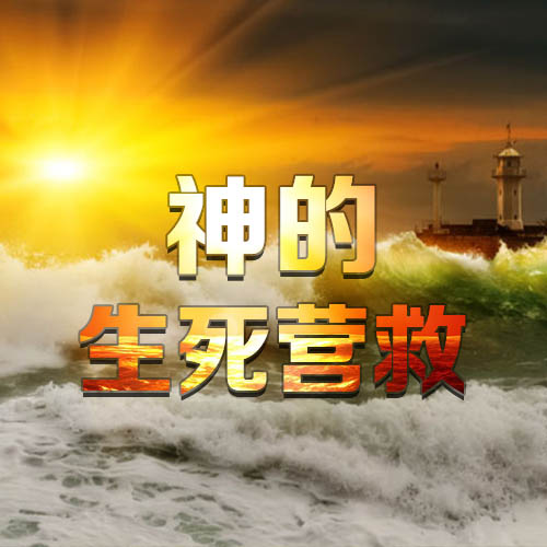 《神的生死营救》