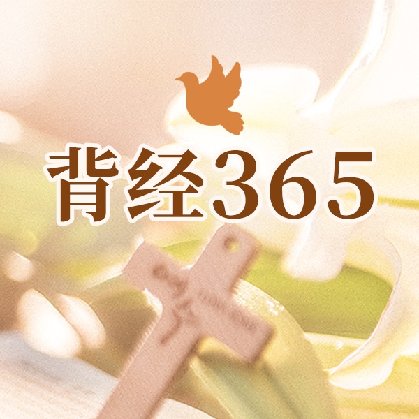 背经365