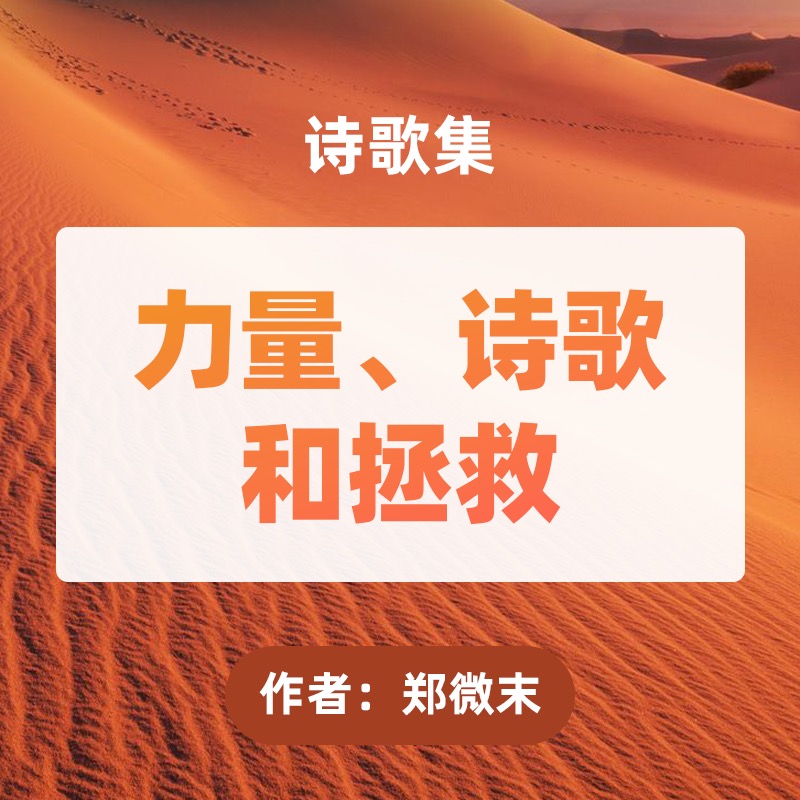 诗歌集《力量、诗歌和拯救》